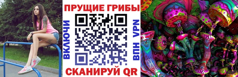 mega   что такое   Светогорск  Галлюциногенные грибы Magic Shrooms 